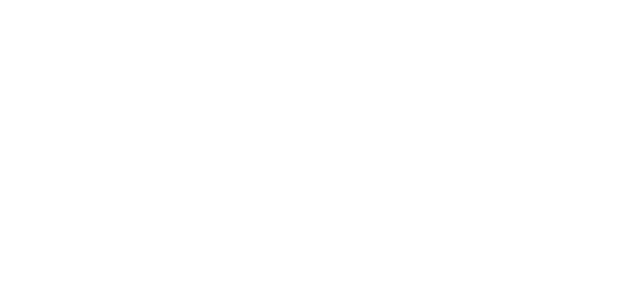 parallels performance marketing program