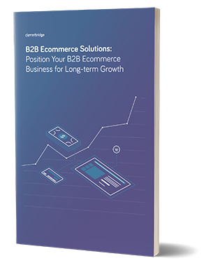 B2B Ecommerce Solutions